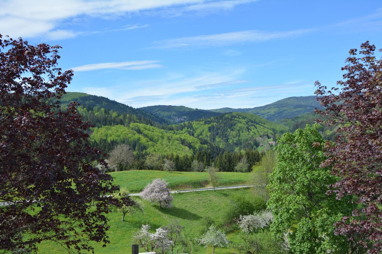 Genusshotel Hirschen - Erholung Im Gruenen Sallneck エクステリア 写真